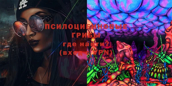 МДПВ Вязьма