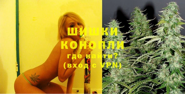 тгк Володарск