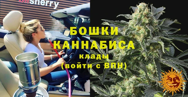 метадон Вяземский