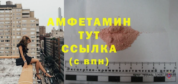 ГАЛЛЮЦИНОГЕННЫЕ ГРИБЫ Вязники
